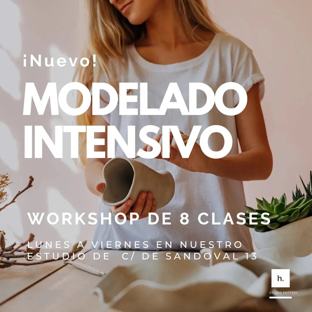 Modelado intensivo - Hilario Studio Pottery 